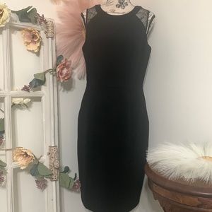 🍃🌸 WHBM Dress Size 8